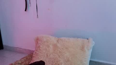 Issafoxx online show from April 2026 12:10:01 PM