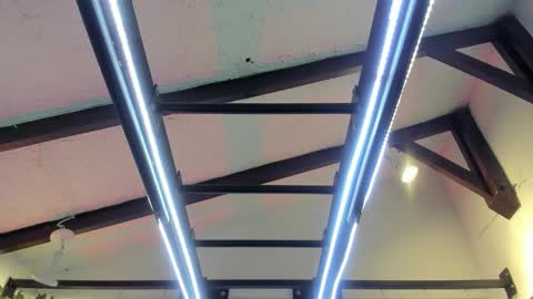 Italo Moore online show from November 2025 11:21:02 AM