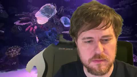 Snapshot of itpain chatting on December 2025 12:53:01 AM pain online show from December 2025 12:53:01 AM