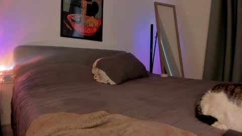 Isabella online show from April 2026 01:52:01 PM