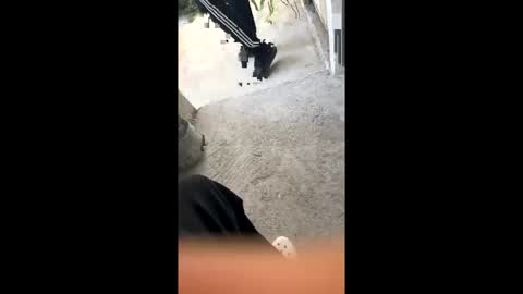 itsjayyourbae online show from February 2026 11:11:02 PM
