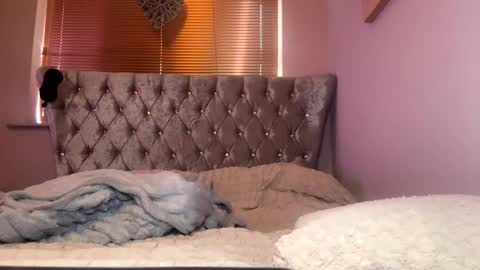 Lola online show from December 2024 11:14:02 AM