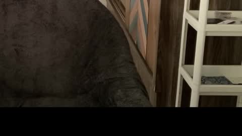 Raje online show from October 2025 05:42:02 AM