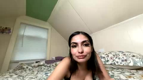 Sunshine online show from July 2026 01:08:01 AM