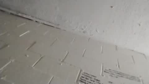 ittybitty0075 online show from March 2026 04:46:02 PM