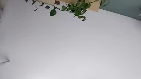 Snapshot of ivanchelon chatting on March 2026 07:16:02 AM Vanchi online show from March 2026 07:16:02 AM