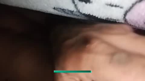 Aiv online show from December 2025 08:52:01 AM