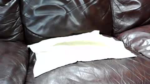 j0junkie online show from February 2025 07:03:02 PM