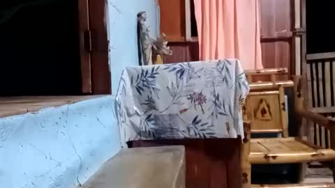 Snapshot of j828413 chatting on October 2025 11:25:01 AM j828413 online show from October 2025 11:25:01 AM