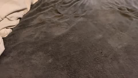 j_m12397 online show from February 2026 03:17:01 AM