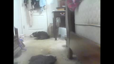 Snapshot of jaburgett1979 chatting on October 2025 03:05:01 AM jaburgett1979 online show from October 2025 03:05:01 AM