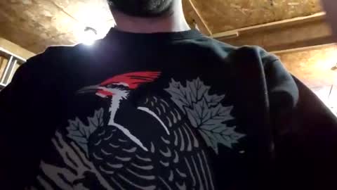 Dess online show from January 2025 02:49:01 AM