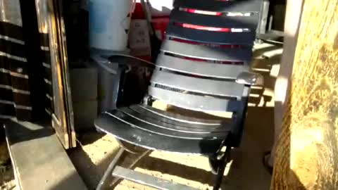 Snapshot of jackeduplittlejoey chatting on April 2026 02:54:02 PM jackeduplittlejoey online show from April 2026 02:54:02 PM