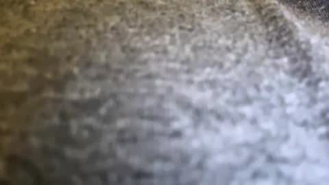 Snapshot of jackjackerman chatting on April 2026 08:09:02 PM jackjackerman online show from April 2026 08:09:02 PM