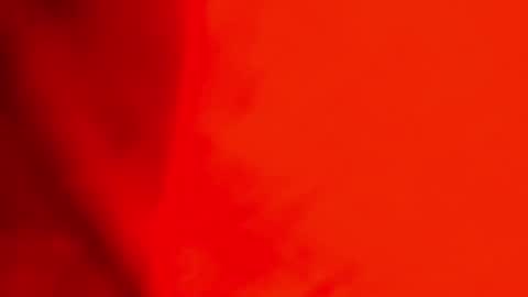 Jackson Bell online show from December 2024 04:50:01 PM