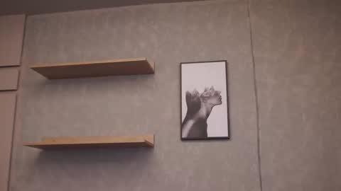 Jackson Bell online show from March 2026 01:11:02 PM