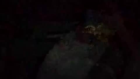 Snapshot of jacobledyit21 chatting on October 2025 02:56:01 AM Shakey j online show from October 2025 02:56:01 AM