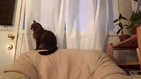 Jacob online show from October 2025 11:00:01 AM