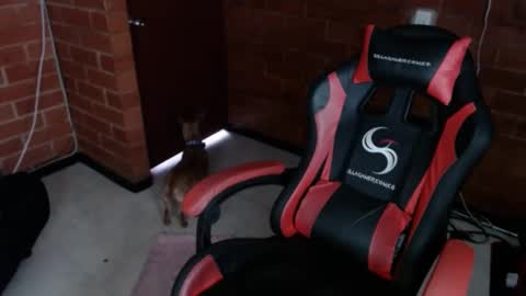 jadesexfun online show from March 2025 02:45:02 PM