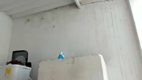 Jade Smith online show from October 2025 05:53:01 PM