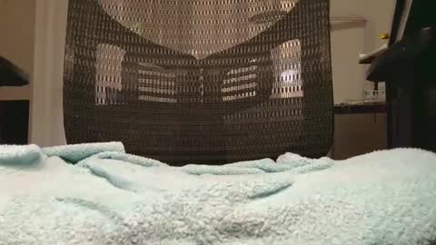 Snapshot of jakdiks chatting on September 2025 06:35:01 PM jakdiks online show from September 2025 06:35:01 PM