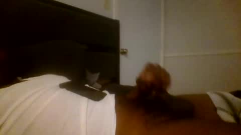 Jamacian online show from December 2024 03:19:01 AM