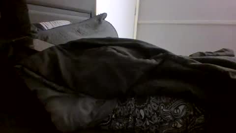 Jamacian online show from January 2025 10:12:02 PM