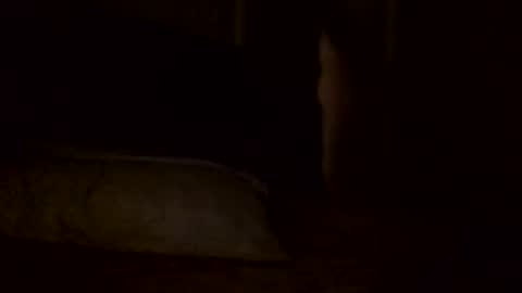 Jamacian online show from February 2025 05:59:01 PM