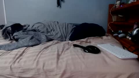 what you in too online show from February 2026 01:29:02 PM