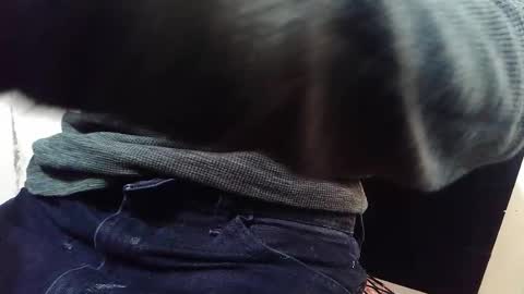 Bootyshows online show from October 2025 09:11:04 AM