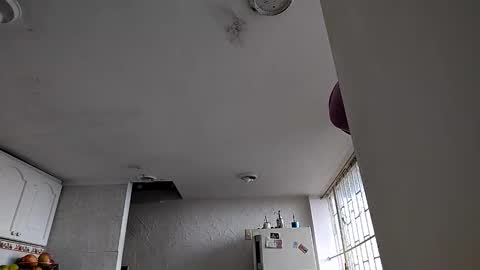 janariivera1 online show from January 2026 04:54:02 PM