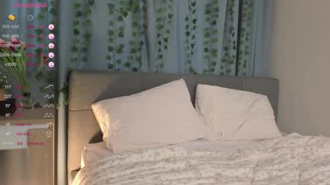 janetfletcher online show from February 2025 12:37:02 PM