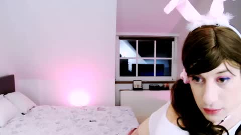 Snapshot of janetrans chatting on February 2026 08:16:01 PM janetrans online show from February 2026 08:16:01 PM