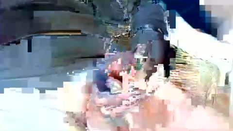 jani56 online show from April 2026 10:22:02 AM