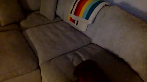 Snapshot of janicepepper chatting on May 2026 08:54:01 AM janicepepper online show from May 2026 08:54:01 AM