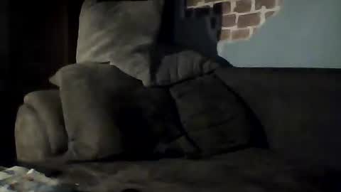 Snapshot of jasio29 chatting on February 2025 09:04:02 PM Jan88 online show from February 2025 09:04:02 PM