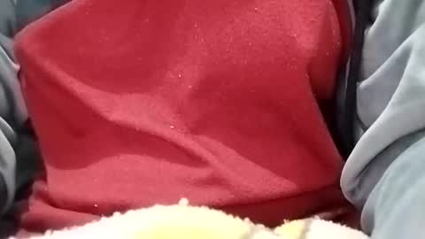 Snapshot of jasspreettt chatting on January 2025 01:55:01 AM jasspreettt online show from January 2025 01:55:01 AM