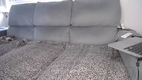 Snapshot of javierandaniel chatting on December 2024 04:47:01 PM Javier online show from December 2024 04:47:01 PM