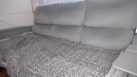 Snapshot of javierandaniel chatting on January 2025 06:38:01 PM Javier online show from January 2025 06:38:01 PM