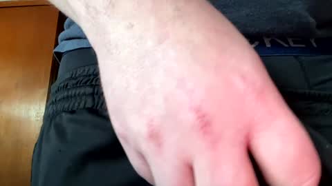 Jaws  online show from December 2024 08:04:01 PM