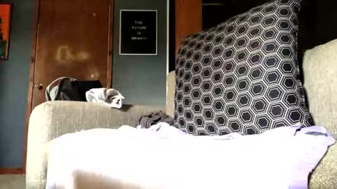 Jaws  online show from September 2025 07:25:01 PM