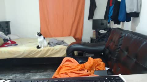 Snapshot of jaxivh16 chatting on October 2025 03:17:01 AM jaxivh16 online show from October 2025 03:17:01 AM