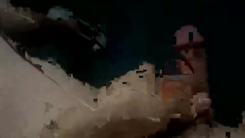 Snapshot of jay_peso chatting on November 2025 07:51:02 PM Jay Peso online show from November 2025 07:51:02 PM