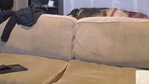 O F   jay short786 online show from February 2025 07:53:01 PM