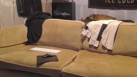 O F   jay short786 online show from February 2025 02:44:02 AM