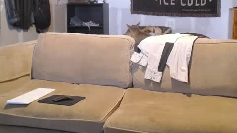 O F   jay short786 online show from February 2025 03:16:01 PM