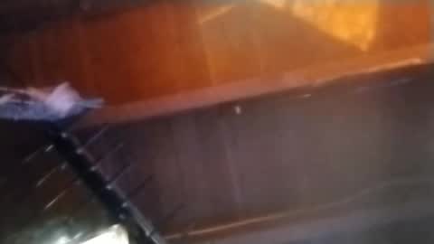 Snapshot of jaydogg6494 chatting on February 2025 10:17:02 AM Meetmyfreak online show from February 2025 10:17:02 AM