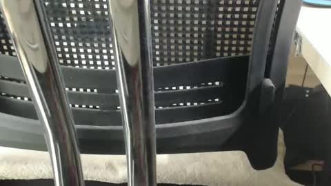 jc200000 online show from February 2025 06:37:02 PM