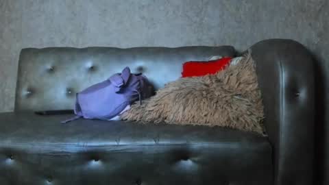 jd thebaby online show from January 2026 12:54:01 PM