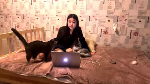 jeannettavidro online show from November 2025 03:05:02 PM